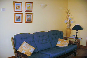 Couch - Gallery