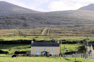 Fort Farm House - House Exterior