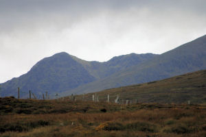 Fort Farm House - Local Scenery image 3
