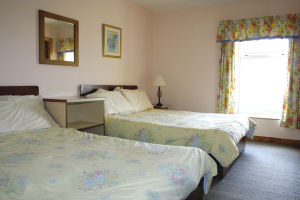 Fort Farm House - Twin room