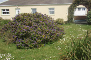 Sandycove House Exterior