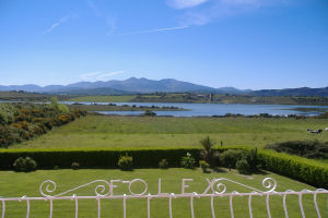 View from Balcony