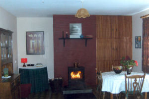 Dineen- Fireplace2