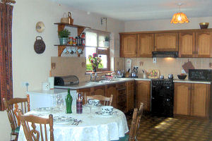 Dineen- Kitchen