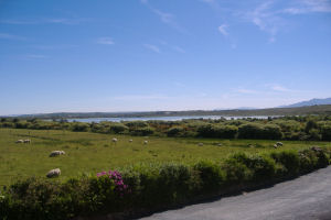 View of the Lake