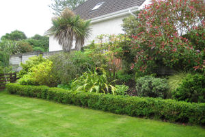 6 Dun na Mara - Back Garden
