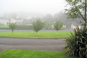 Dun na Mara view from front of house SWS0213601