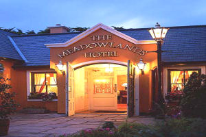 Meadowlands Hotel - Entrance