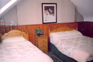 Killarney House - Bedroom2