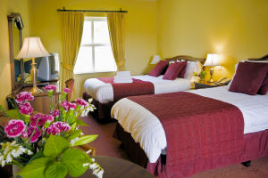 Maol Reidh Hotel - Twin room