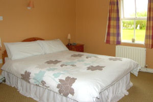 Bell Harbour Cottages - Downstairs Bedroom