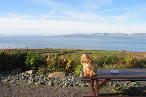 Taobh Coille - View - ifsk1510