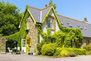 Ivy Exterior 