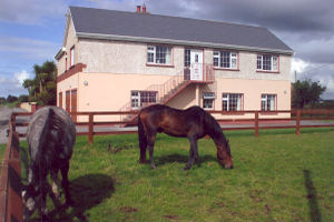 O Briens Self Catering - Welcome