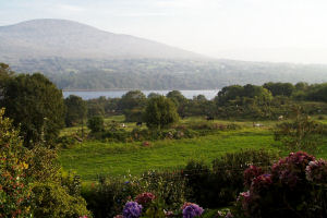 View from House