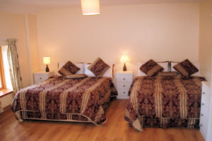 Newgrange Lodge - Twin room