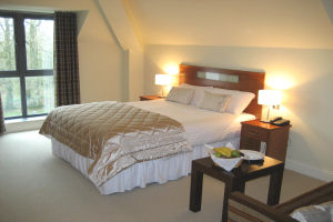 Raheen Woods Hotel - double - hhs04336