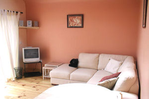 Reads Park Cottages - Sittingroom - srs0177801
