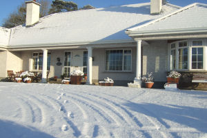 House with snow
