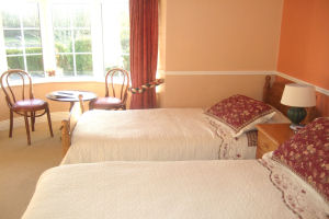 Twin room