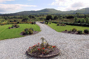 Front lawn 