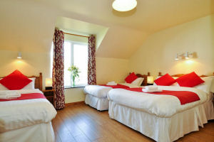 Bedrooms - HOS010039