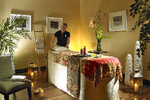 Elemis Spa