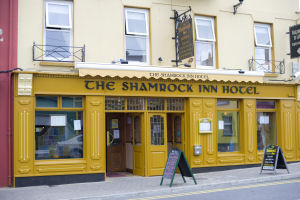 Shamrock Inn - exterior - hhs04386