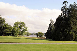 front lawn 