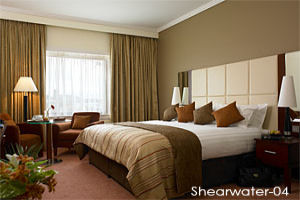 Book Now 