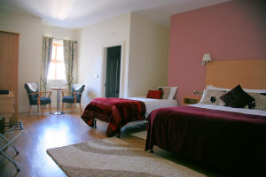 Coach House Hotel - Twin room