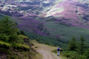 Wicklow Hills in Early Autumn