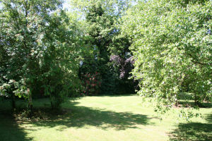 Garden area