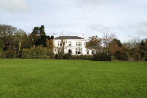 Exterior - IFSC2782