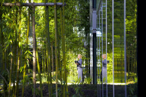 The Gibson Hotel - Bamboo