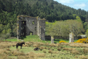 wynns castle two 