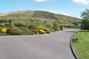 Reenard House - Driveway