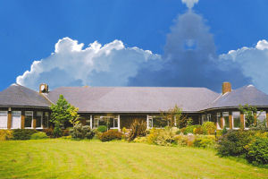 Airport Orchard - Exterior