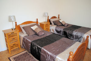 Dromin Well House - Twin room