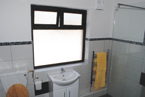 Dromin Well House - Wetroom