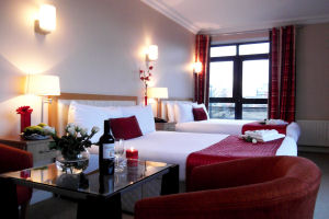 The Pier Hotel Limerick - Twin room image 2