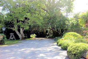avenue