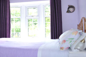 Willow House - Double room image 2