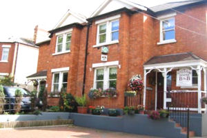 Willow House - House Exterior 