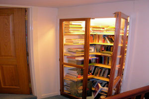 The Burn - Bookcase