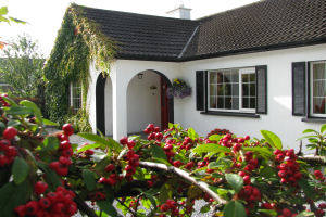 Claragh - Welcome