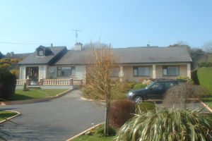 Marguerites BB - exterior
