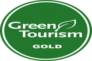 Gold Logo