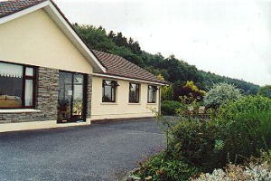 Hollymount house - Exterior 