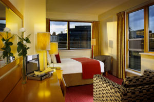 Mespil Double bedroom